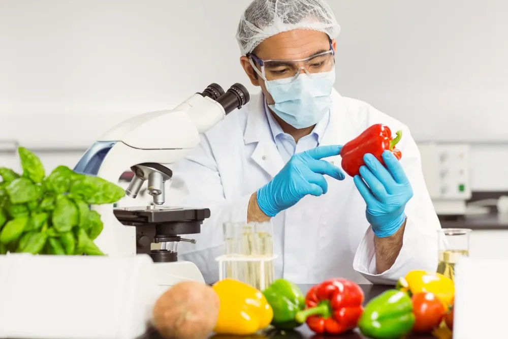A importância da segurança alimentar e procedência