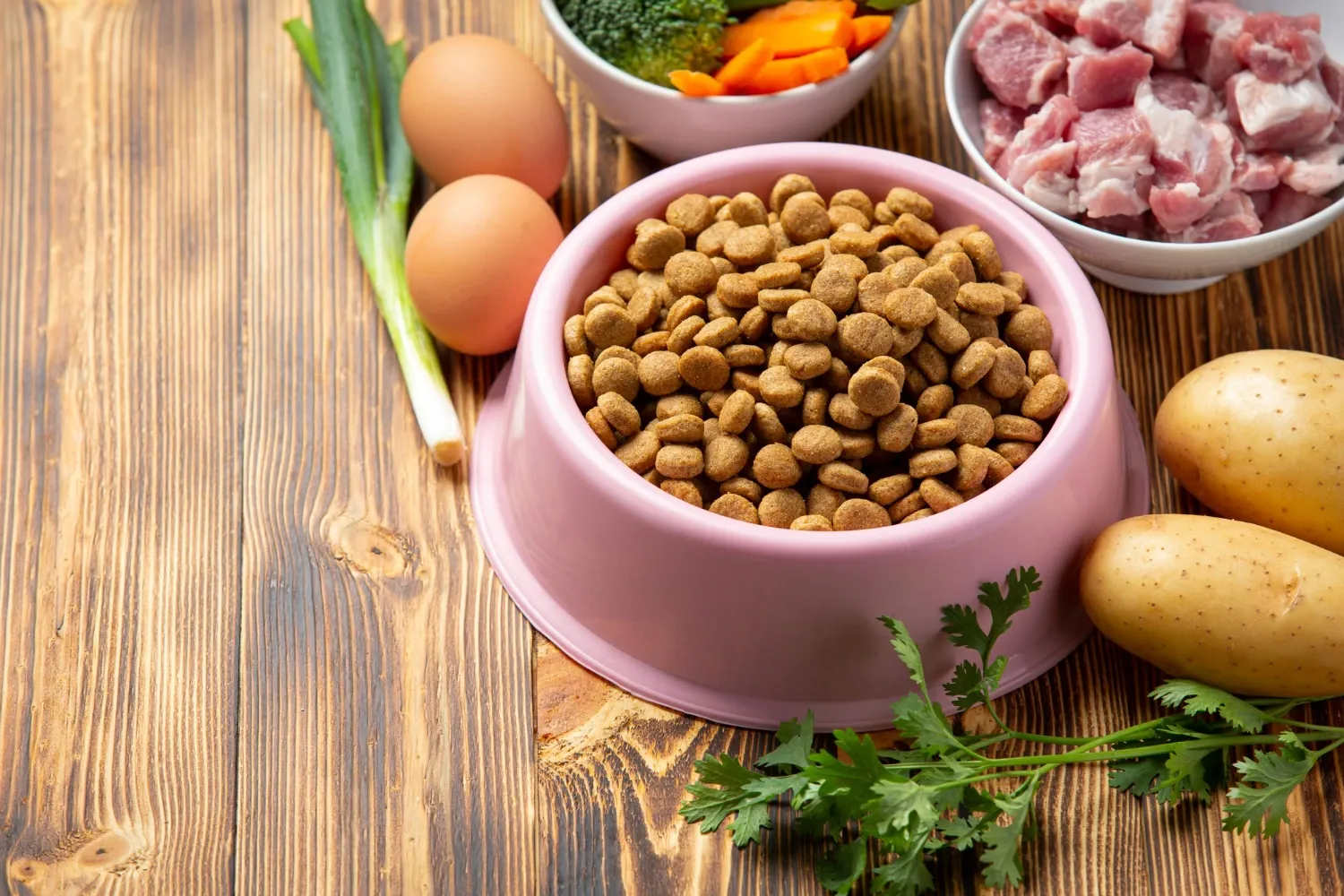 Qual a melhor alimentação para o meu pet?